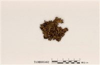 藏品(島衣屬)的圖片